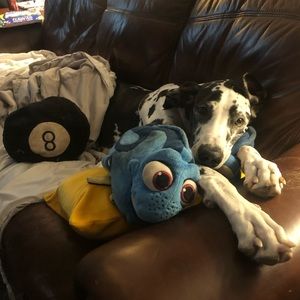 Meet your Posher, Kristy